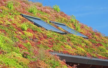 Yesnaby living roof systems