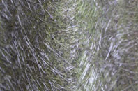 Yesnaby fibreglass roof work